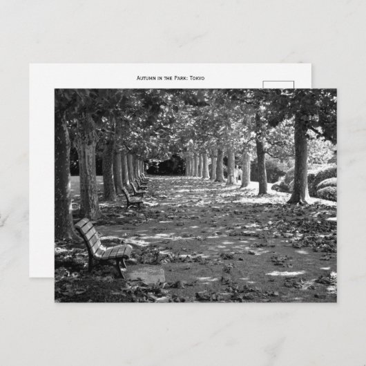 Herbst im Park: Tokio Postkarte (Vorne/Hinten)