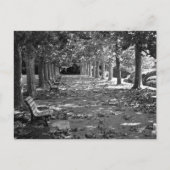 Herbst im Park: Tokio Postkarte (Vorderseite)