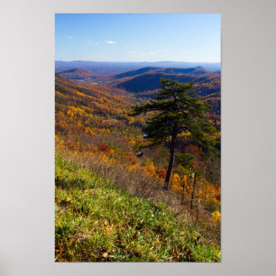 Herbst im Shenandoah-Nationalpark, Virginia Poster