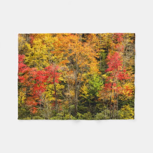 Herbst im Sims Pond North Carolina, Blue Ridge Fleecedecke (Vorderseite (Horizontal))