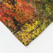 Herbst im Sims Pond North Carolina, Blue Ridge Fleecedecke (Ecke)
