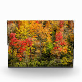 Herbst im Sims Pond North Carolina, Blue Ridge Fotoblock (Vorderseite)