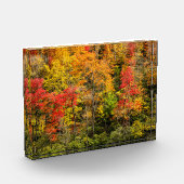 Herbst im Sims Pond North Carolina, Blue Ridge Fotoblock (Links)