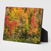 Herbst im Sims Pond North Carolina, Blue Ridge Fotoplatte (Seite)