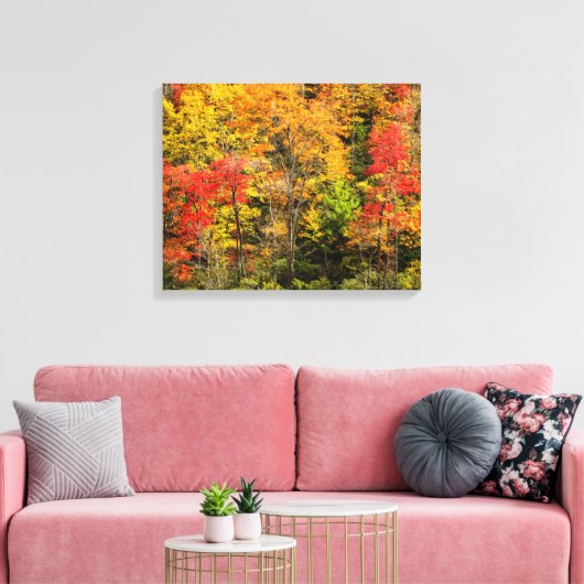 Herbst im Sims Pond North Carolina, Blue Ridge Leinwanddruck (Insitu (Wohnzimmer))