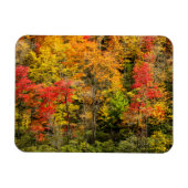 Herbst im Sims Pond North Carolina, Blue Ridge Magnet (Horizontal)