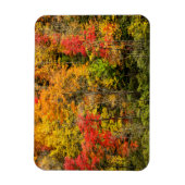 Herbst im Sims Pond North Carolina, Blue Ridge Magnet (Vertikal)