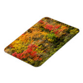 Herbst im Sims Pond North Carolina, Blue Ridge Magnet (Linke Seite)
