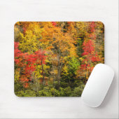 Herbst im Sims Pond North Carolina, Blue Ridge Mousepad (Mit Mouse)