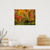 Herbst im Sims Pond North Carolina, Blue Ridge Poster (Küche)