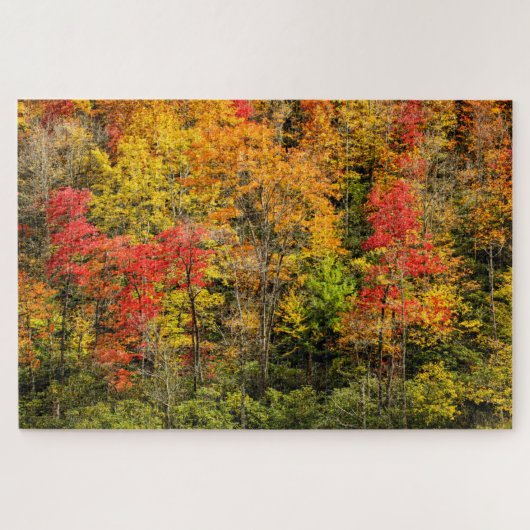 Herbst im Sims Pond North Carolina, Blue Ridge Puzzle (Horizontal)