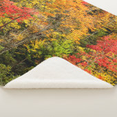 Herbst im Sims Pond North Carolina, Blue Ridge Sherpadecke (3/4)