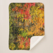 Herbst im Sims Pond North Carolina, Blue Ridge Sherpadecke (Vorderseite)