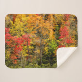 Herbst im Sims Pond North Carolina, Blue Ridge Sherpadecke (Vorderseite (Horizontal))