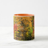 Herbst im Sims Pond North Carolina, Blue Ridge Tasse (Zentrum)