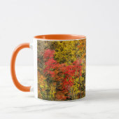 Herbst im Sims Pond North Carolina, Blue Ridge Tasse (Links)