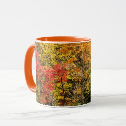 Herbst im Sims Pond North Carolina, Blue Ridge Tasse (Vorderseite Links)