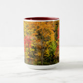 Herbst im Sims Pond North Carolina, Blue Ridge Tasse (Zentrum)