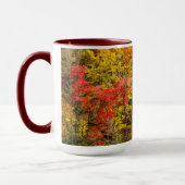 Herbst im Sims Pond North Carolina, Blue Ridge Tasse (Links)