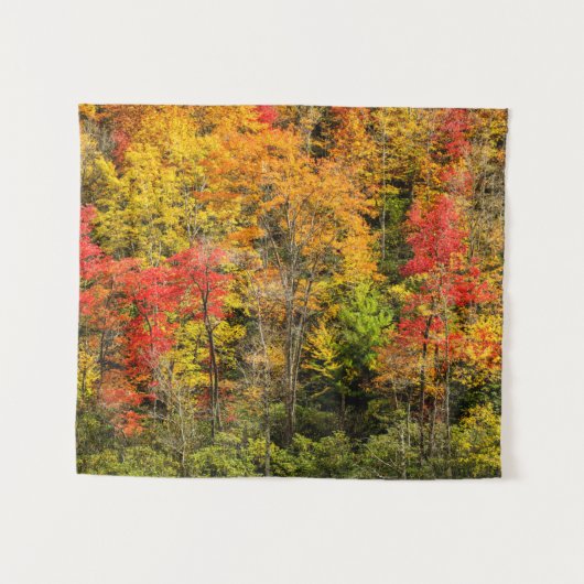 Herbst im Sims Pond North Carolina, Blue Ridge Wandteppich (Vorderseite (Horizontal))