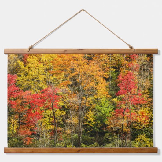 Herbst im Sims Pond North Carolina, Blue Ridge Wandteppich Mit Holzrahmen (Vorne)