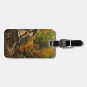 Herbst im Treman Staat Park Gepäckanhänger (Vorderseite horizontal)