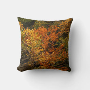 Herbst im Treman Staat Park Kissen