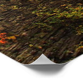 Herbst im Treman Staat Park Poster (Ecke)