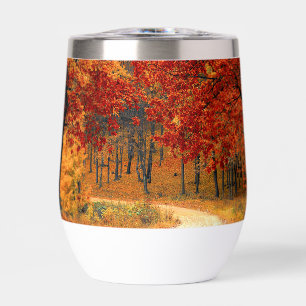 Herbst im Wald