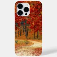 Herbst im Wald