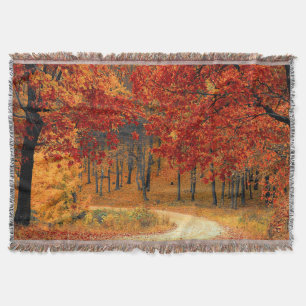 Herbst im Wald Decke