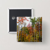 Herbst im Wald Farbige Herbstfotografie Button (Vorne & Hinten)