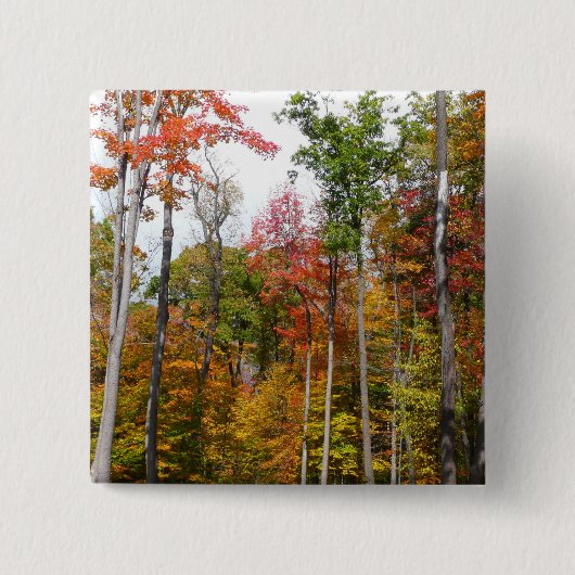 Herbst im Wald Farbige Herbstfotografie Button (Vorderseite)