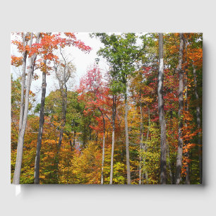 Herbst im Wald Farbige Herbstfotografie Gästebuch