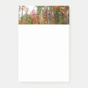 Herbst im Wald Farbige Herbstfotografie Post-it Klebezettel