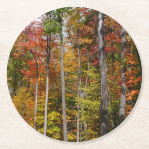 Herbst im Wald Farbige Herbstfotografie Runder Pappuntersetzer