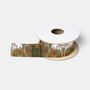Herbst im Wald Farbige Herbstfotografie Satinband