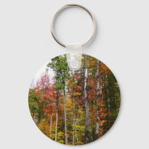 Herbst im Wald Farbige Herbstfotografie Schlüsselanhänger