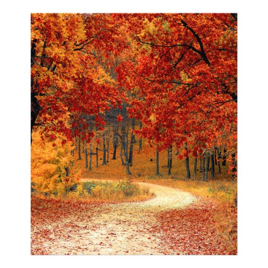 Herbst im Wald Fotodruck (Vorne)