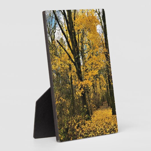 Herbst im Wald Fotoplatte (Seite)