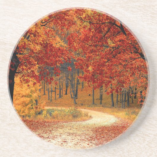 Herbst im Wald Getränkeuntersetzer (Vorne)