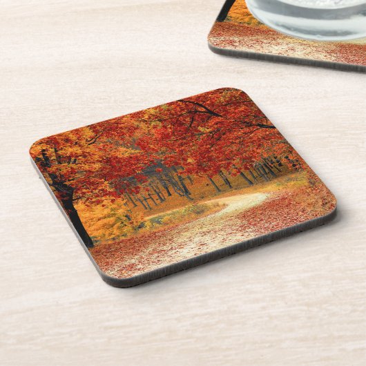 Herbst im Wald Getränkeuntersetzer (Linke Seite)