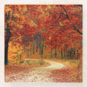 Herbst im Wald Glasuntersetzer (Vorderseite)