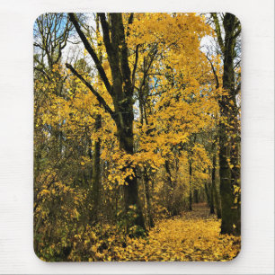 Herbst im Wald Mousepad