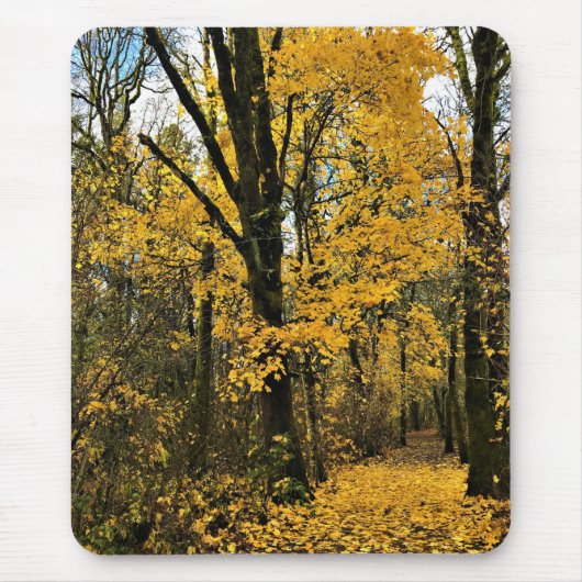 Herbst im Wald Mousepad (Vorne)