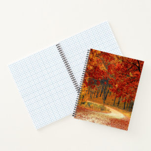 Herbst im Wald Notizblock