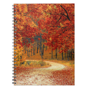 Herbst im Wald Notizblock