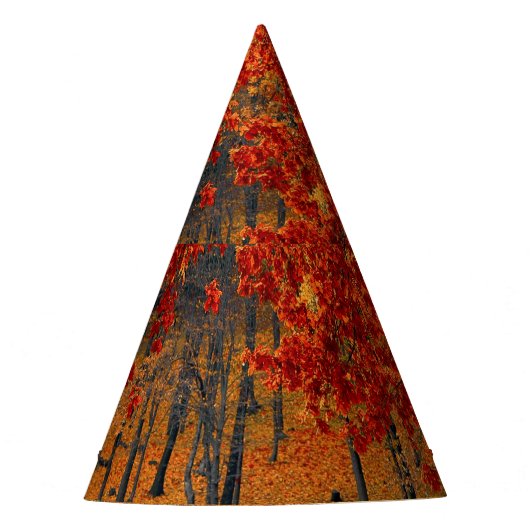 Herbst im Wald Partyhütchen (Vorderseite)