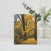 Herbst im Wald Postkarte (Stehend Vorderseite)