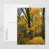 Herbst im Wald Postkarte (Vorne/Hinten)